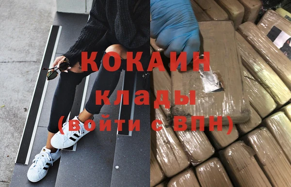 соль ск Алексин